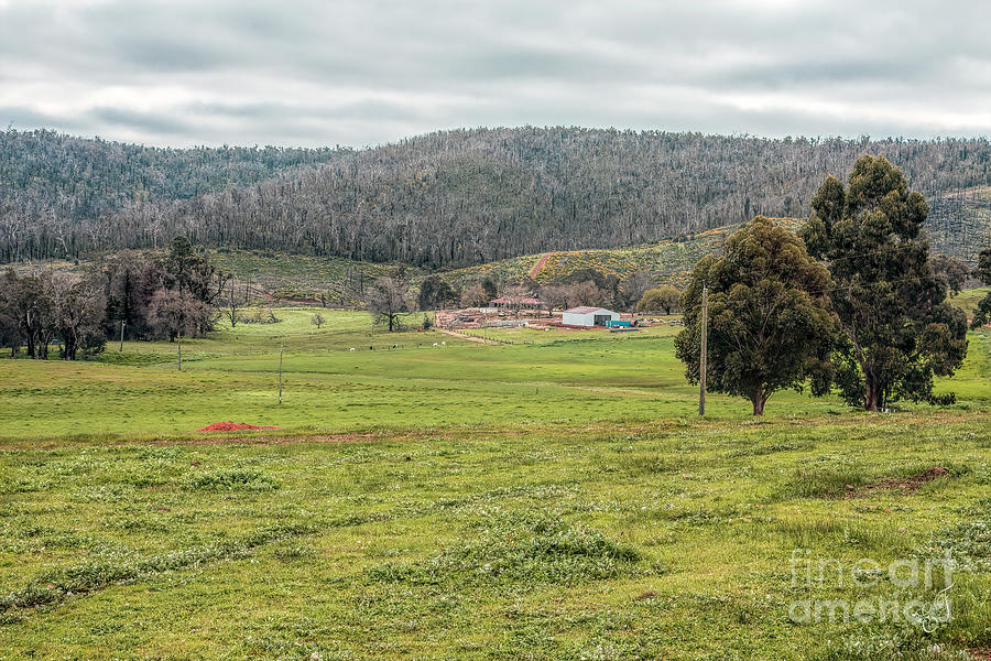 Peninsula Farmland, Bridgetown, Western Australia Photograph by Elaine Teague