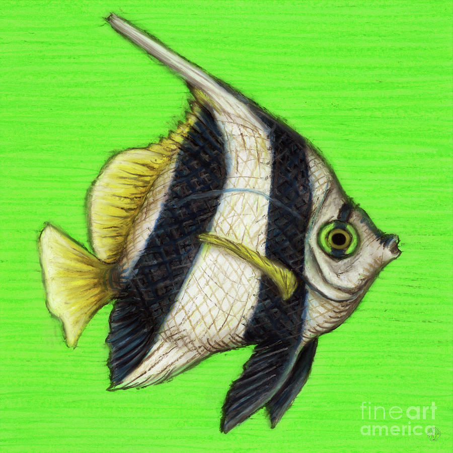 Pennant Coralfish  Painting by Amy E Fraser