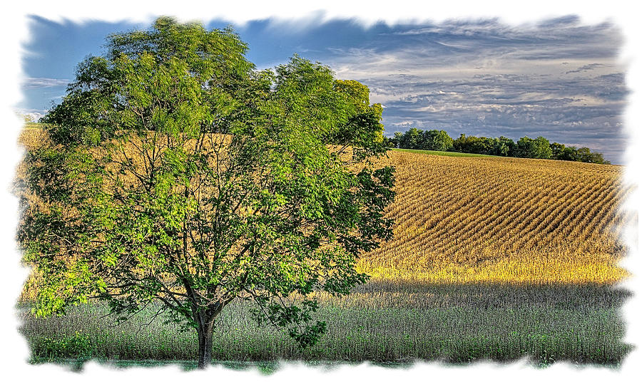 Farm Photograph - Pennsylvania Country Roads - Beginning of the Harvest - Near Chambersburg, Franklin County by Michael Mazaika