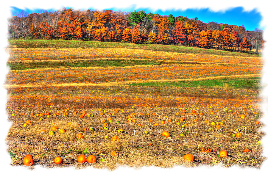 Pennsylvania Country Roads - Where Pumpkins Come From - Columbia County Photograph by Michael Mazaika