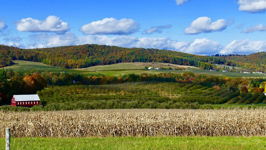 Pennsylvania countryside Photograph by Amy Beste | Fine Art America