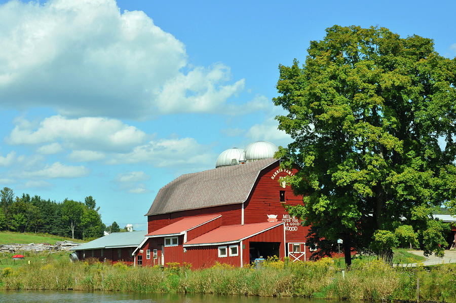 Pennsylvania Dairy Farm Photograph by Jamart Photography