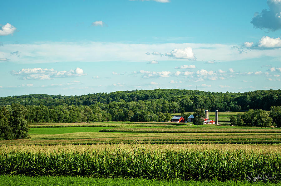 Pennsylvania Farmland 1 Photograph by Angela Black