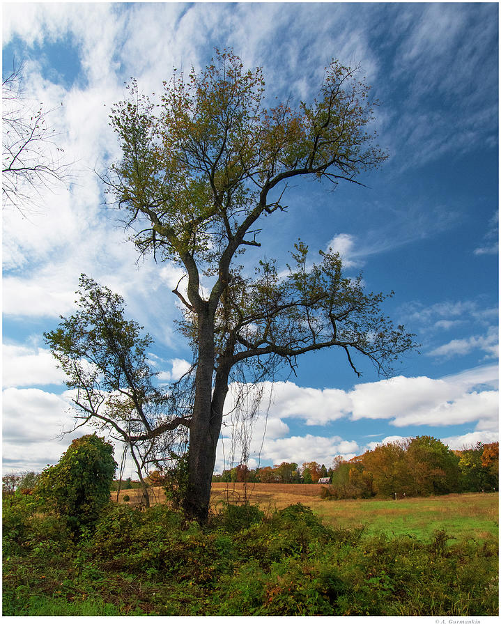 Pennsylvania Meadow in Fall Photograph by A Macarthur Gurmankin - Pixels