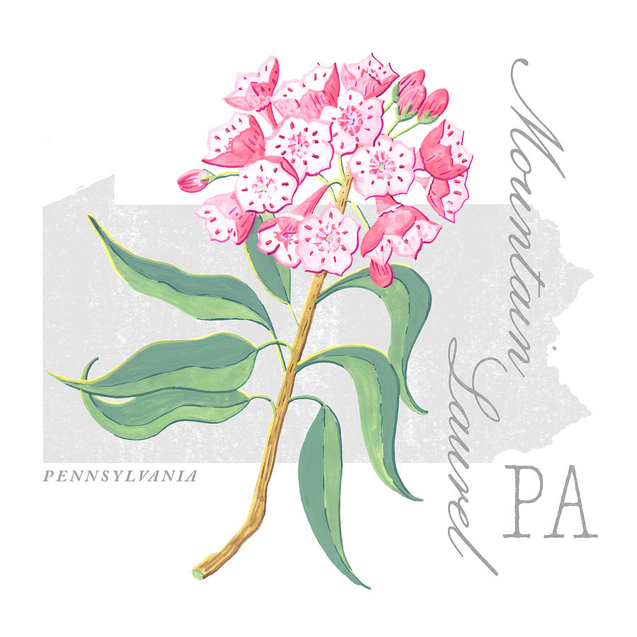 Pennsylvania State Flower Mountain Laurel Art by Jen Montgomery Painting by Jen Montgomery