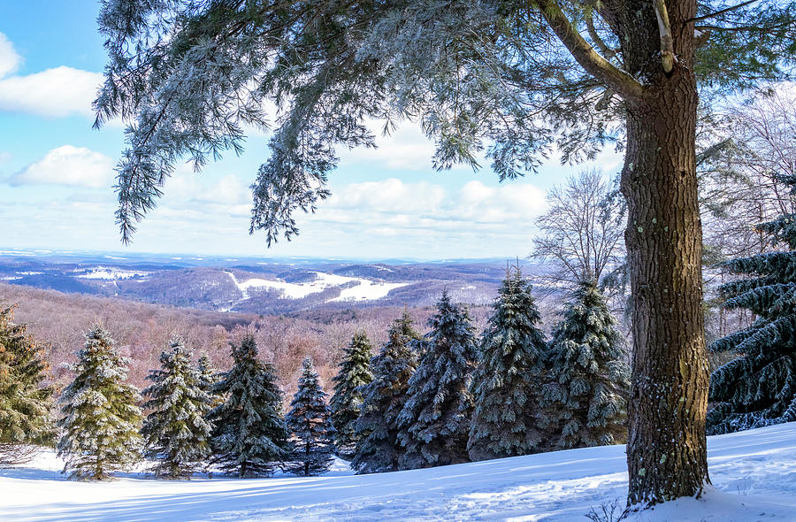 Pennsylvania Winter Landscape Photograph by Carolyn Derstine