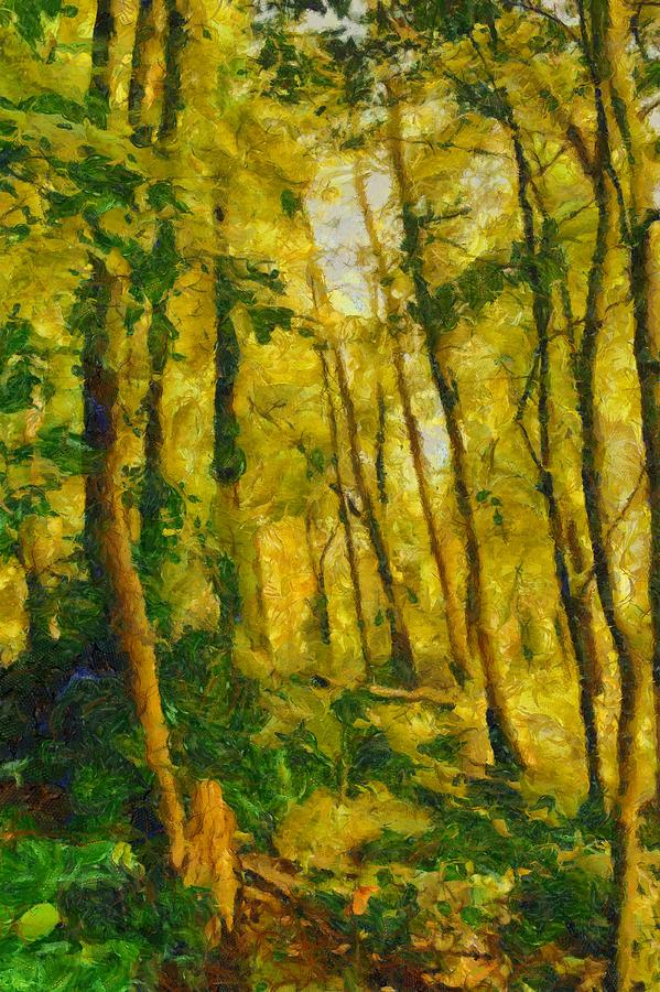 Pennsylvania Woods Mixed Media by Christopher Reed