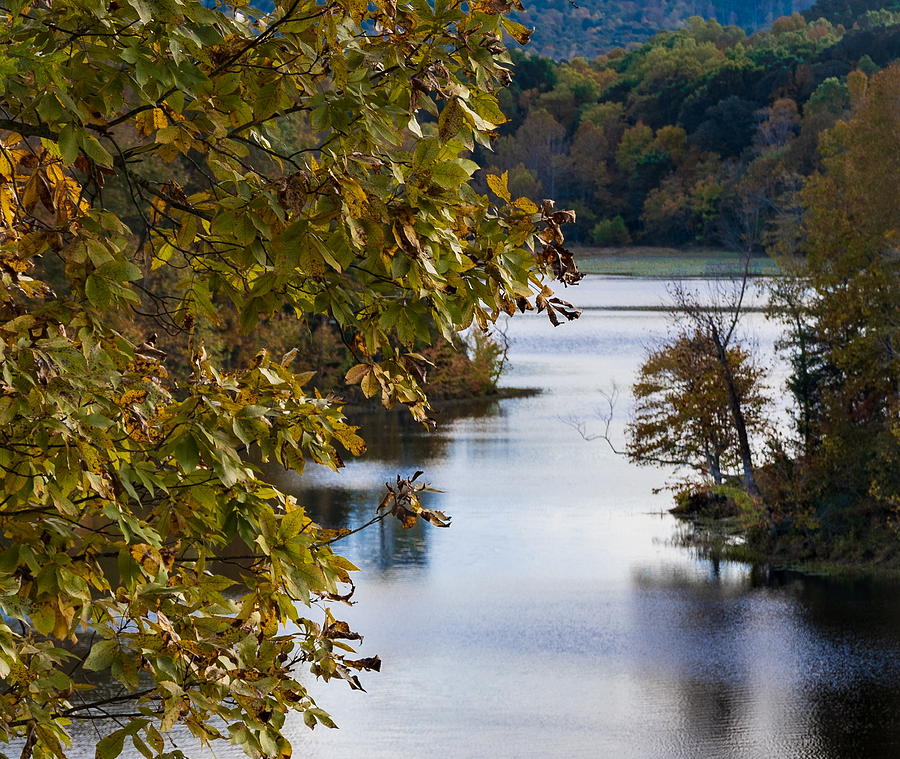 Pennyrile Lake in the Fall, 2021 Photograph by Joel Meador - Fine Art ...