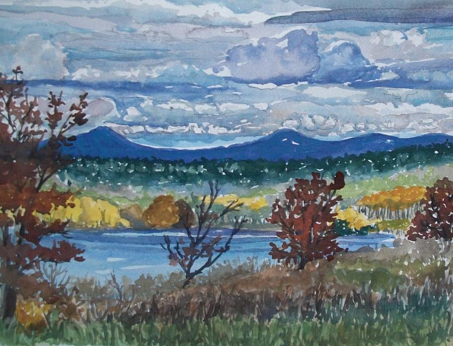 Penobscot Shore Preserve Painting by Judith Young