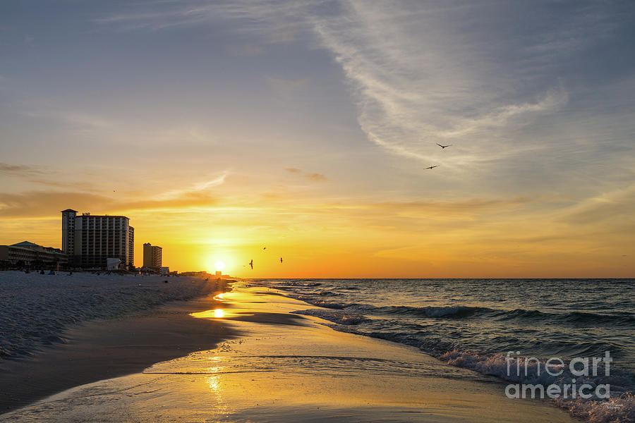 Pensacola Beach Flying Pelicans Sunrise Photograph by Jennifer White