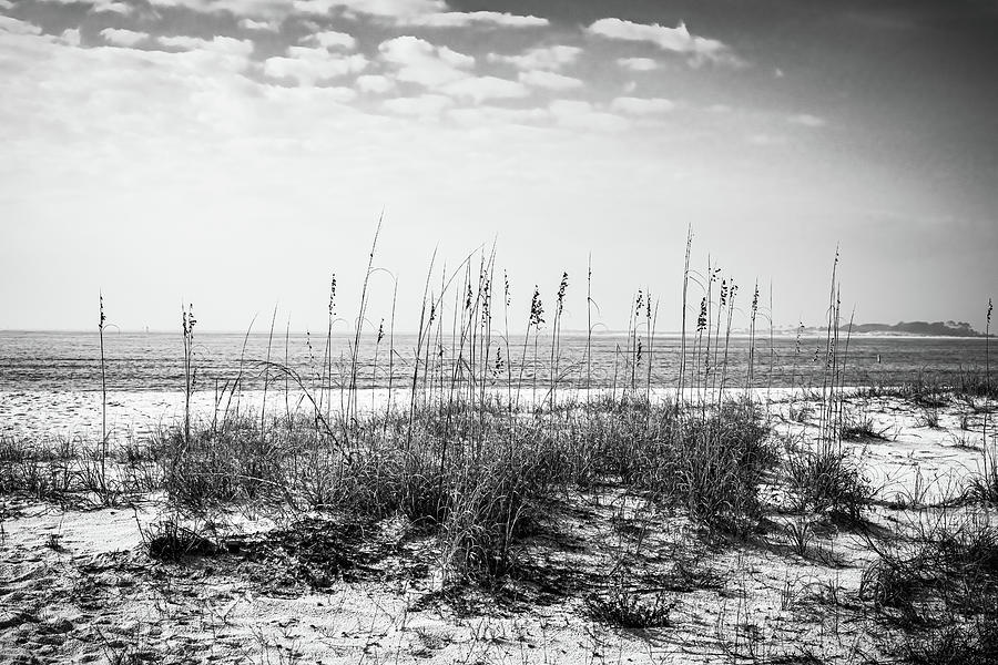 Pensacola Beach Sand Dune in BW Photograph by Denise Wiese - Pixels