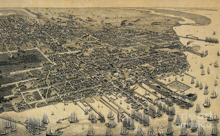 Pensacola, Florida, 1885 Drawing by H Wellge