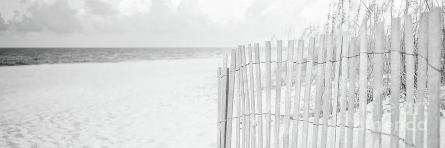 Pensacola Florida Beach Fence Black and White Panorama Photo Photograph by Paul Velgos