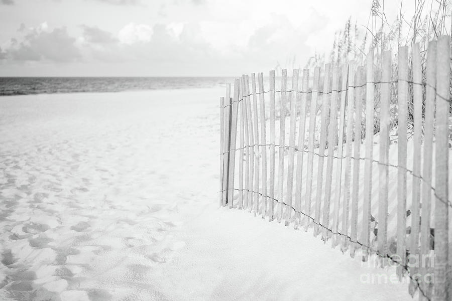 Pensacola Florida Beach Fence Black and White Photo Photograph by Paul Velgos