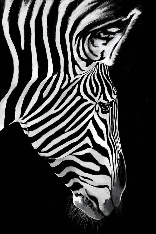 Pensive Zebra Digital Art by Peggy Kahan