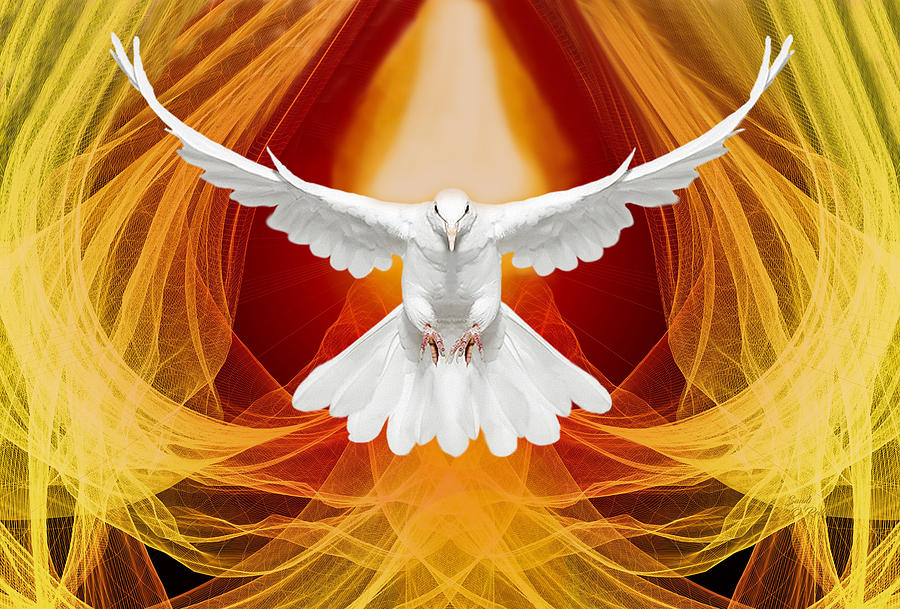 Pentacost Dove Of The Spirit Mixed Media by Sandi OReilly - Fine Art ...