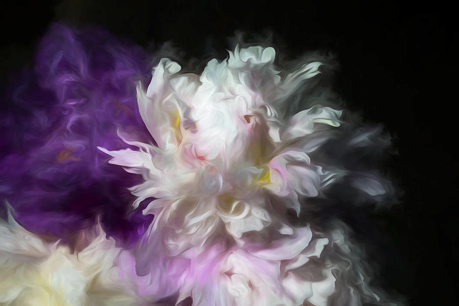 Flower Photograph - Old World Peonies by Connie Carr