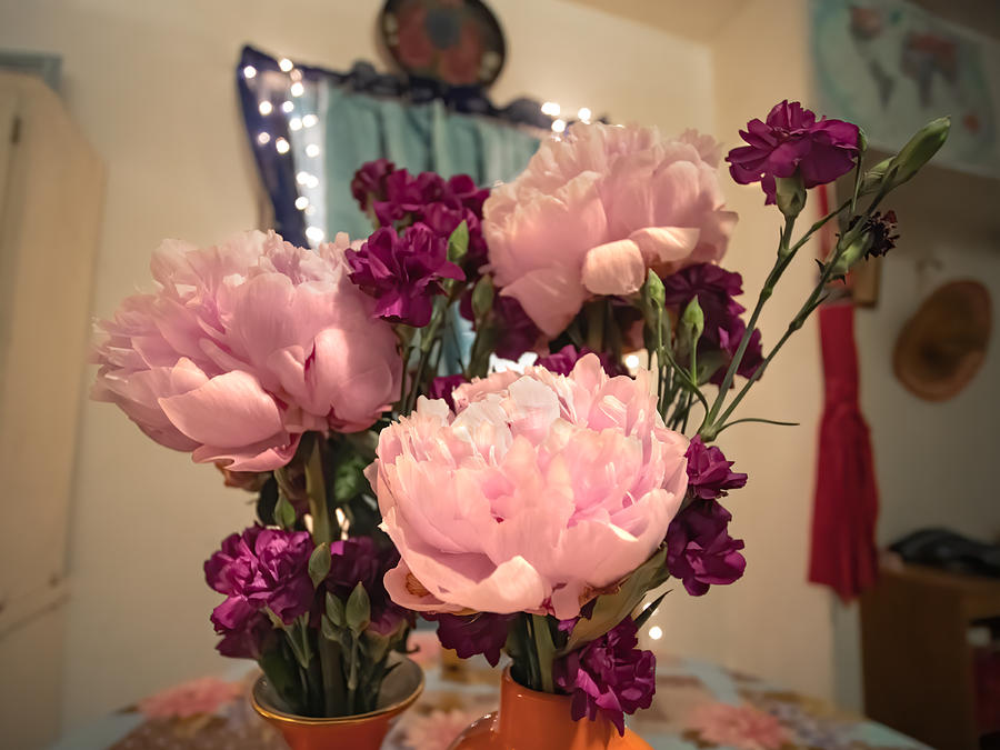 Peonies And Carnations Photograph