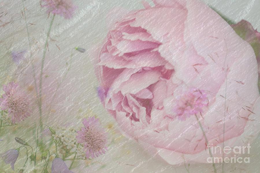 Peonies and Flowers Mixed Media by Sherry Hallemeier