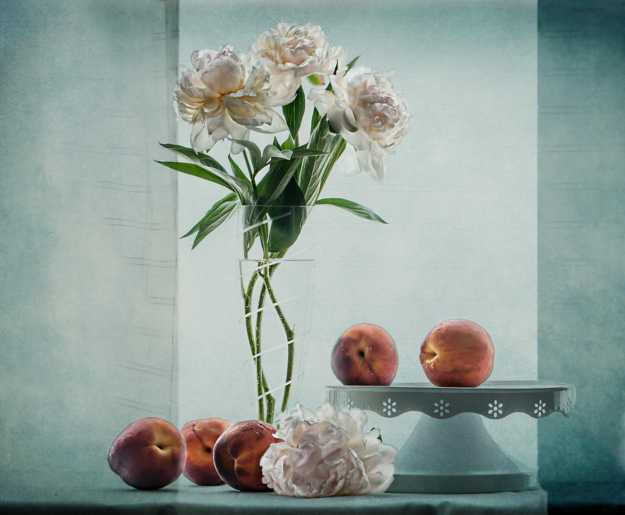 Peonies and Peaches Photograph by Maggie Terlecki