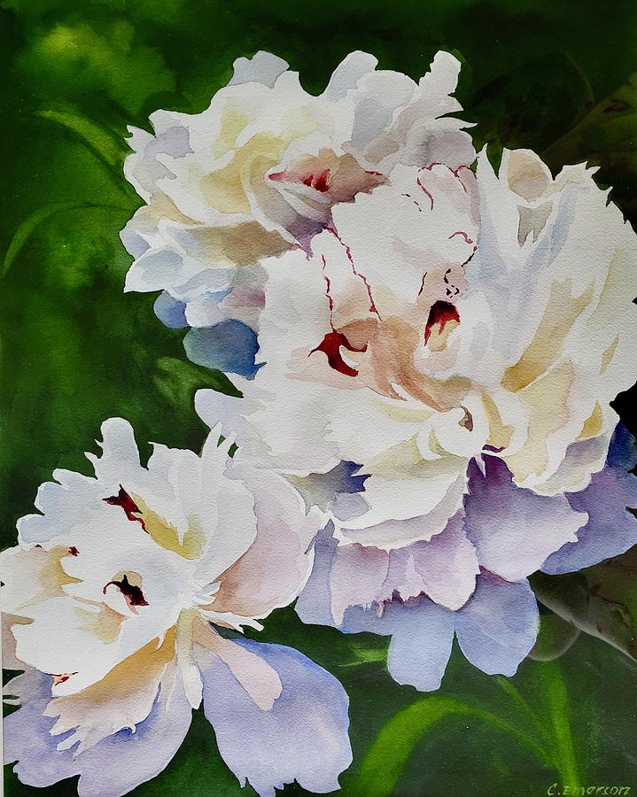 Peonies watercolor Painting by Carolyn Emerson
