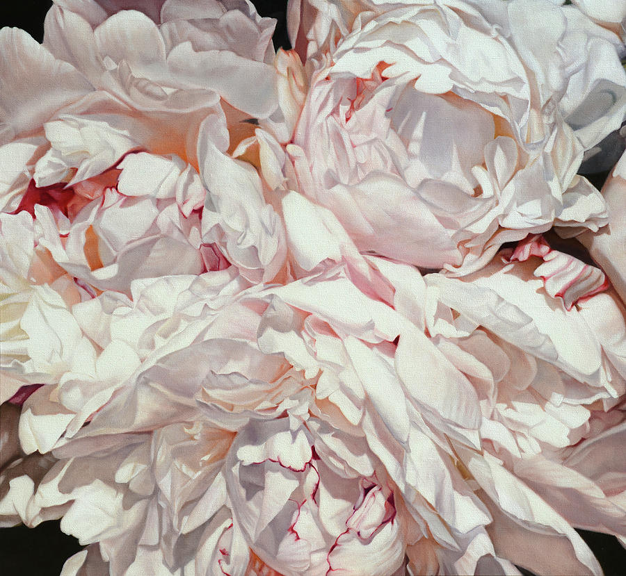 Flower Painting - Peonies Carre by Thomas Darnell