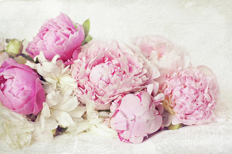 Peonies On White Photograph by Sylvia Cook
