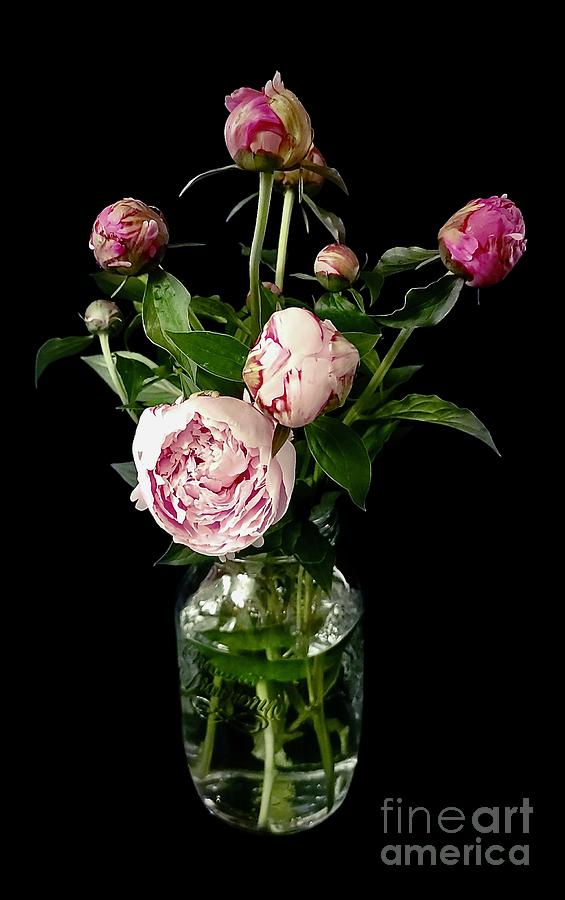 Peony Bouquet Photograph by Jeannie Rhode