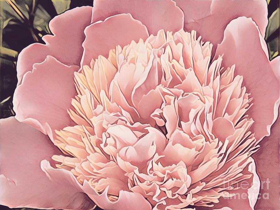 Peony II Painting by Marilyn Smith