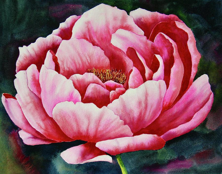 Flowers Still Life Painting - Peony In Bloom by Eva Nichols