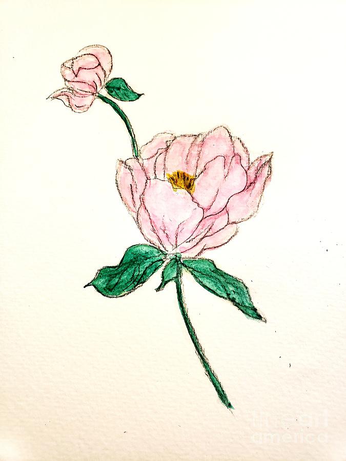 Peony Painting by Margaret Welsh Willowsilk