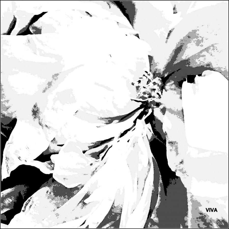 Peony Moderne B- W Photograph by VIVA Anderson