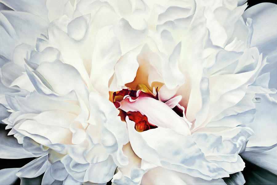 White Peony Pastel by Paul Riccardi - Fine Art America