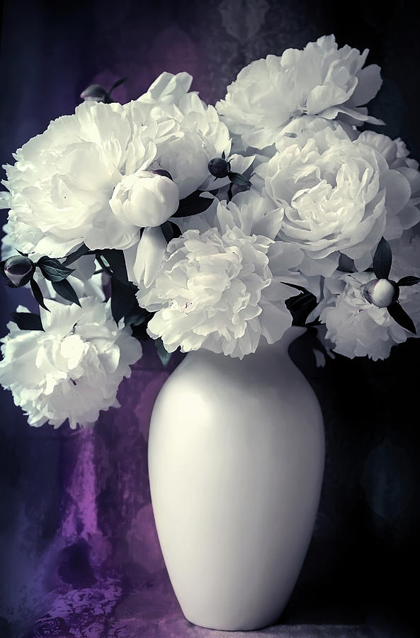 Flower Photograph - Peony Series 13 - Purple Tones by Darlene Kwiatkowski