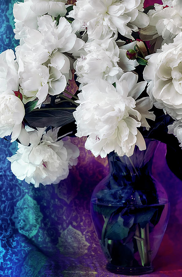 Flower Photograph - Peony Series 14 - Color - Traditional by Darlene Kwiatkowski