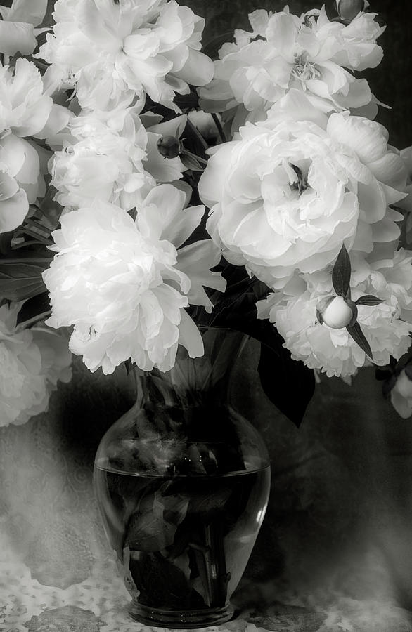 Flower Photograph - Peony Series 15 - Vintage BW by Darlene Kwiatkowski