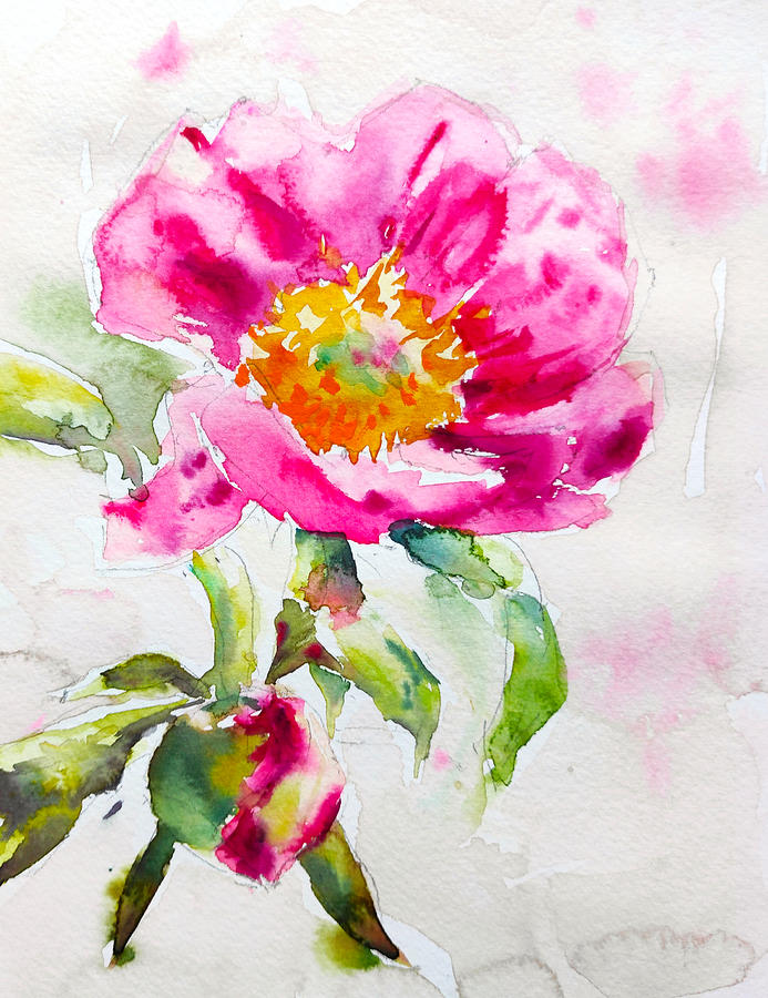 Peony Sketch 1. Painting by Ibolya Taligas - Fine Art America