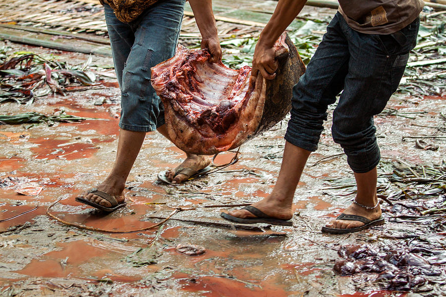 People carrying huge slabs of raw meat at animal sacrifice ritual Photograph by NomadicImagery