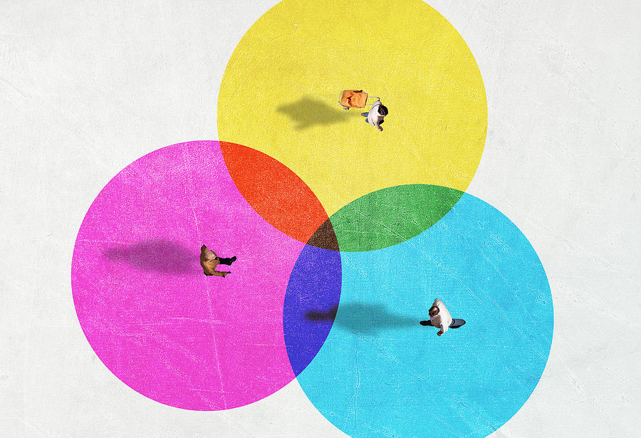 People from above inside colorful circles with social distancing. Photograph by Artur Debat