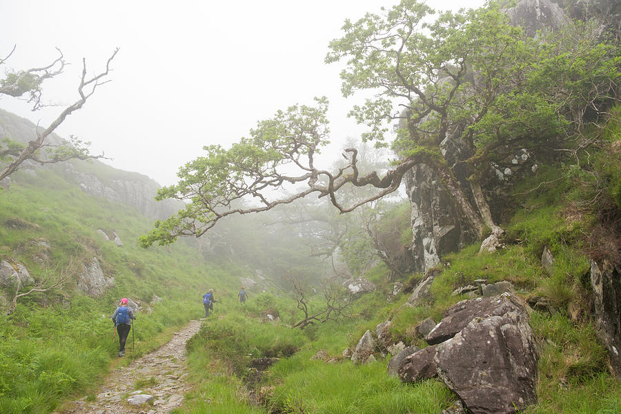 People hiking on trial in the Killarney National Park Photograph by David L Moore
