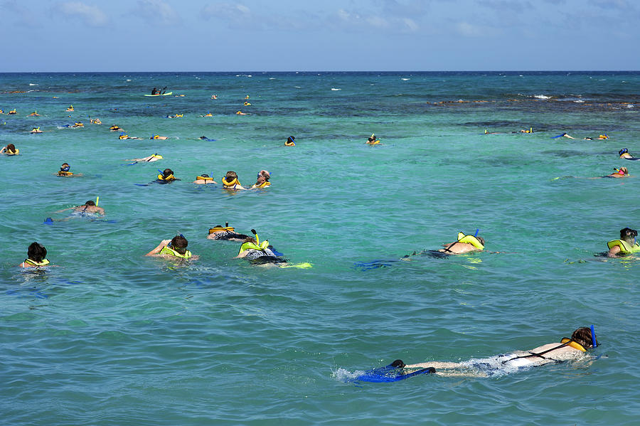 People snorkel in clear blue ocean. Photograph by Jadwiga Figula