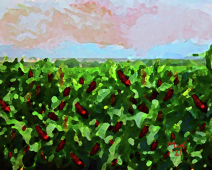 Pepper Field Digital Art