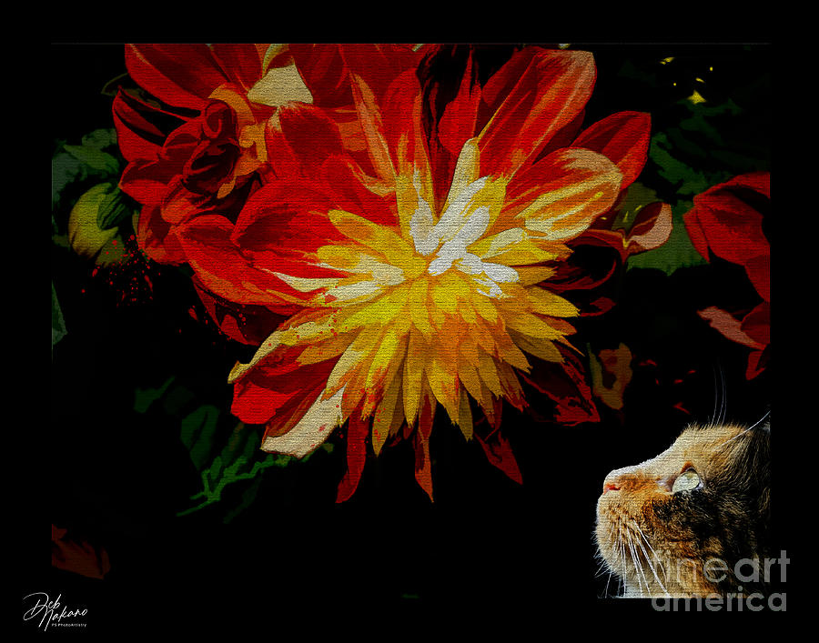 Pepper w Flower Digital Art by Deb Nakano