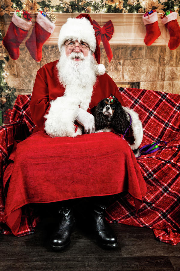 Peppermint with Santa 2 Photograph by Christopher Holmes
