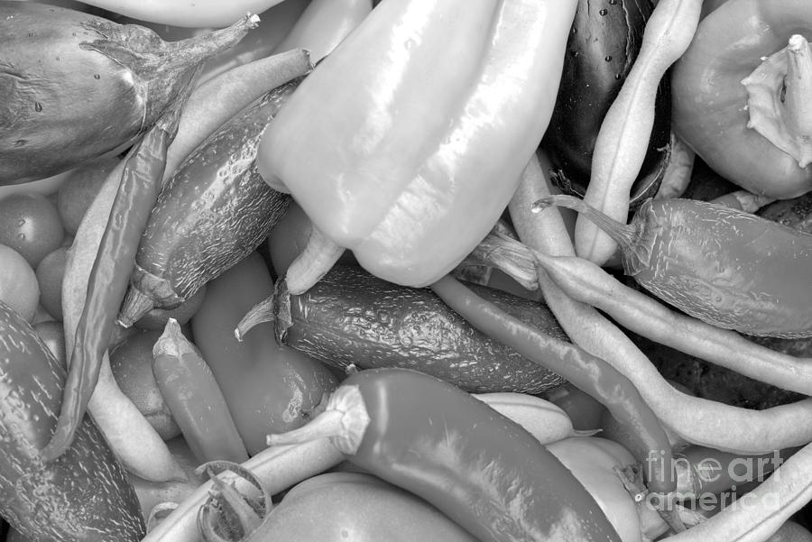 Peppers And Eggplants Black And White Photograph by Adam Jewell