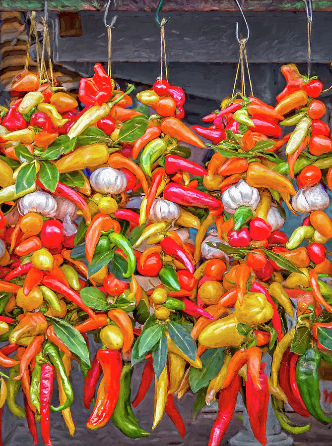 Peppers and Garlic Photograph by Karen Sirnick