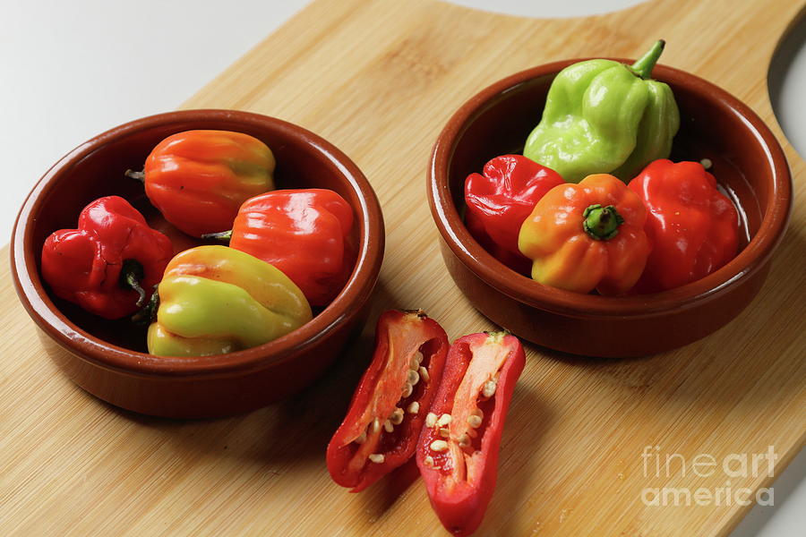 Peppers Photograph by Stephen Melia