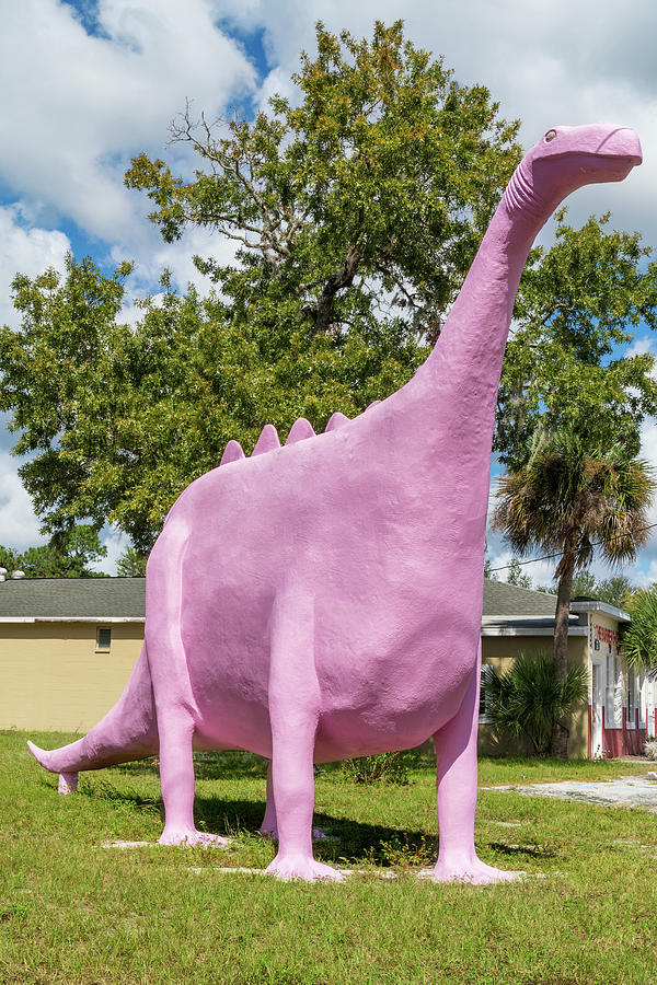 Pepto-Bismol Pink Dinosaur on Rt. 19 in Spring Hill, Florida Photograph by Dawna Moore Photography