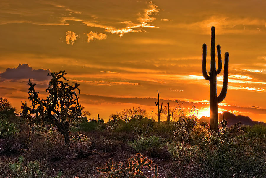 Sunset Photograph - Peralta Arizona Sunset by Dave Dilli