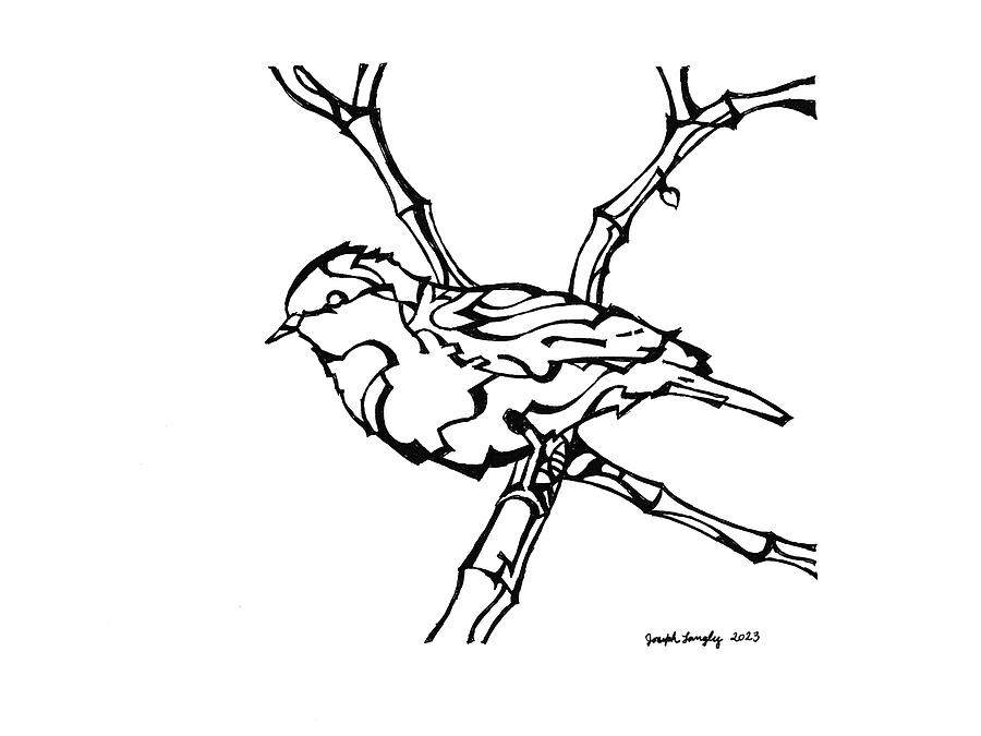 Perched Drawing by Joseph A Langley